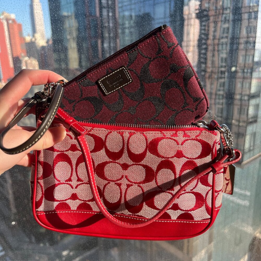 Coach bag + wristlet